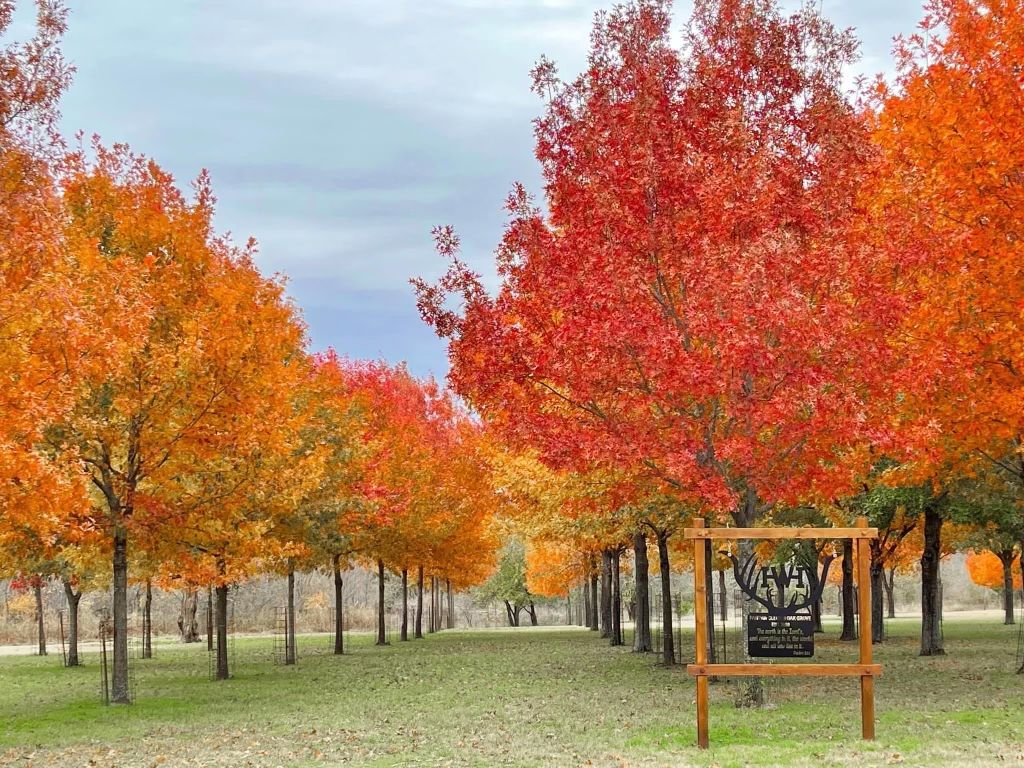 Fall at the HWH preserve